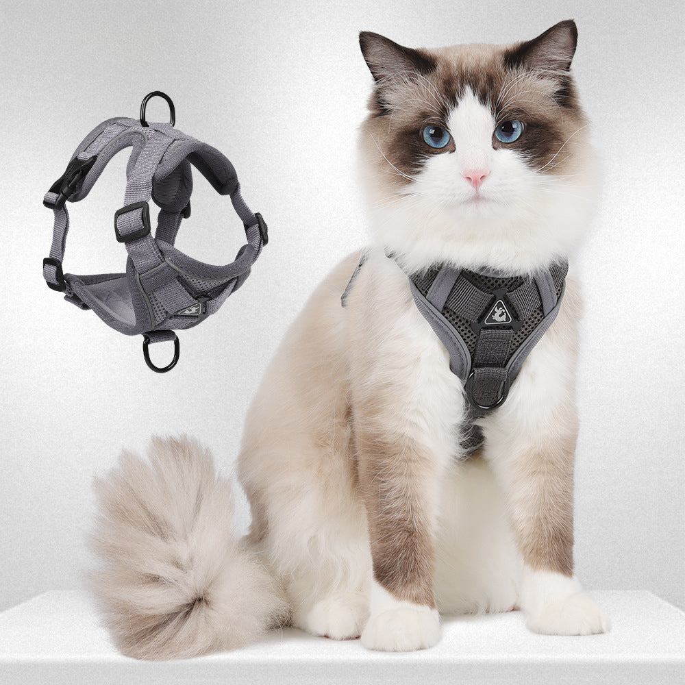 Cat Leash