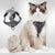 Cat Leash