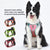 Anti-break-free + AirTag + reflection-Dog leash, anti-breaking, large dog chest strap reflective medium and large dog dog leash outdoor dog