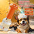 Pet electric bubble maker deep cleaning bath magic tool - vortex foam technology silicone massage head