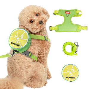 New dog leash vest with backpack seat belt, breathable mesh pedal vest, reflective soft padded seat belt