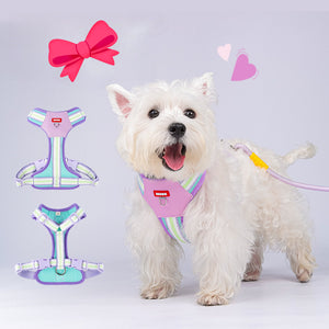 New dog chest and back colorful dopamine pet leash Bichon Pomeranian puppy outdoor dog walking leash
