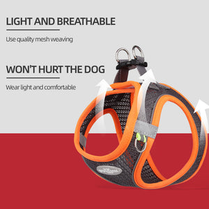 New style cat and dog leash vest dog chest strap breathable mesh leash dog walking leash pet chest strap