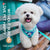 New dog chest strap reflective breathable dog walking rope camouflage three-piece set of dog traction rope