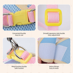 Cute loral Mesh Dog Harness with Matching Leash, Summer Lightweight Pet Vest, 3 Colors Available