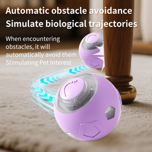 Pet toy ball | grinding-resistant automatic bounce ball | Colorful LED lighting + intelligent interaction | Universal anti-boring artifact for cats and dogs