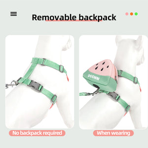 New dog leash vest with backpack seat belt, breathable mesh pedal vest, reflective soft padded seat belt