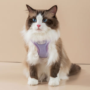 Cat Vest Reflective Leash for Large Harnesses Strong Multicolored Leash Long Belt Soft Handle