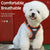New style cat and dog leash vest dog chest strap breathable mesh leash dog walking leash pet chest strap