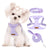 Three-piece set of pet chest and back leash vest dog cat outdoor leash three-piece set of collar cat small pet dog walking leash