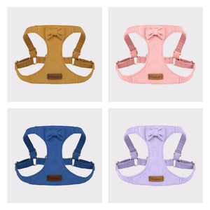 Three-piece set of pet chest and back leash vest dog cat outdoor leash three-piece set of collar cat small pet dog walking leash