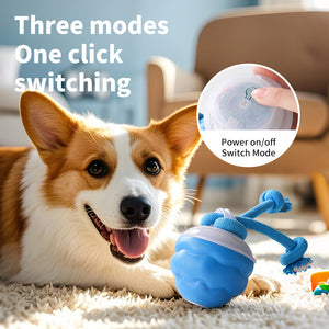 New rechargeable dog ball intelligent dog toys to relieve boredom and make sound automatically rolling electric magic weapon