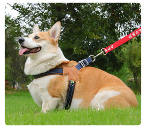 New dog chest and back small and medium-sized dog leash pet corgi bia bear leash outdoor reflective dog walking leash