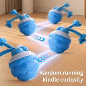 New rechargeable dog ball intelligent dog toys to relieve boredom and make sound automatically rolling electric magic weapon