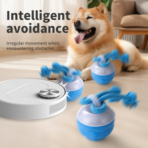 New rechargeable dog ball intelligent dog toys to relieve boredom and make sound automatically rolling electric magic weapon