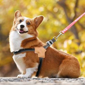 New dog chest and back small and medium-sized dog leash pet corgi bia bear leash outdoor reflective dog walking leash