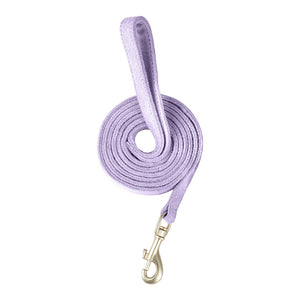 Three-piece set of pet chest and back leash vest dog cat outdoor leash three-piece set of collar cat small pet dog walking leash