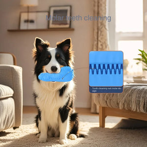 New Simulation Tooth Cleaning Molar Pet Sound Toy Large Dog Training Bite-Artifact