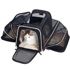 Prodigen Cat Carrier Dog Carriers for Small Dogs Soft Slided Airline Approved Collapsible Pet Travel Carrier, Small
