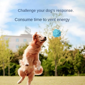 Natural Rubber Molar Chewing Puppy Toy Ball Bite Not Rotten Interactive Training Self-Hi Relieving Stuffy Environmentally Friend