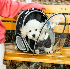 Expandable Cat Carrier Backpack Large Transparent Pet Travel Backpack Bubble Space Capsule Pet Travel Bag, Easy To Use