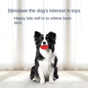 Red Squeaky Star Fruit Dog Toy - Rubber Chew Toy for Teeth Cleaning, Interactive Fetch Pet Play
