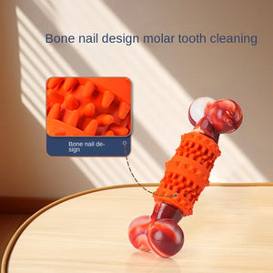 Molar Simulation Bone Pet Bite Not Bad Natural Rubber Tooth Cleaning Educational Large Dog Toy