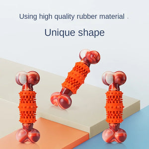 Molar Simulation Bone Pet Bite Not Bad Natural Rubber Tooth Cleaning Educational Large Dog Toy