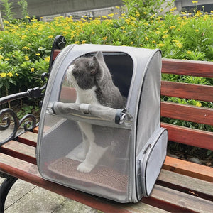 Pet Carrier Bag Breathable Foldable Portable Cat Backpack Outdoor Travel Transport Bag For Cats And Puppy Carrying Pet Supplies