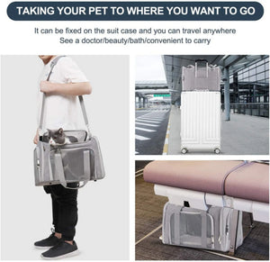 Prodigen Cat Carrier Dog Carriers for Small Dogs Soft Slided Airline Approved Collapsible Pet Travel Carrier, Small
