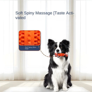 Molar Simulation Bone Pet Bite Not Bad Natural Rubber Tooth Cleaning Educational Large Dog Toy