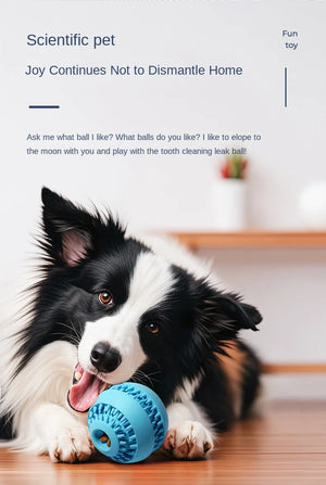 Natural Rubber Leakage Medium-Sized Dog Toy Ball Molar Teeth Cleaning Interactive Self-Hi Relieving Stuffy Hidden Food Pet