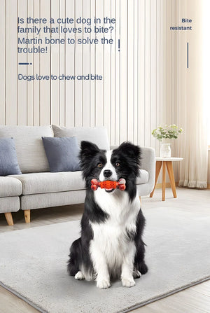 Molar Simulation Bone Pet Bite Not Bad Natural Rubber Tooth Cleaning Educational Large Dog Toy
