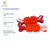 In Stock Natural Rubber Molar Nylon Bone Tooth Cleaning Dog Plastic-Coated Thorn Interactive Self-Hi Relieving Stuffy Toy