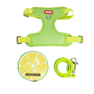 New dog leash vest with backpack seat belt, breathable mesh pedal vest, reflective soft padded seat belt