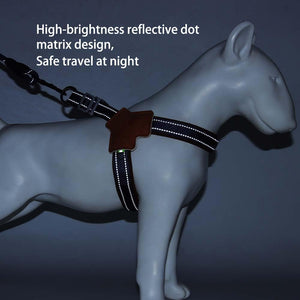 New dog chest and back small and medium-sized dog leash pet corgi bia bear leash outdoor reflective dog walking leash