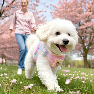 Dog leash dopamine contrasting chest strap small dog Bichin dog chest and back breathable and burden-reducing cat leash