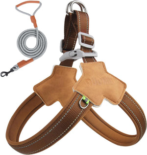 New dog chest and back small and medium-sized dog leash pet corgi bia bear leash outdoor reflective dog walking leash