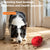 Hidden food teething dragon fruit dog toys interactive self-improvement boredom pet toys bite not broken rubber dog toys