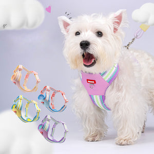 New dog chest and back colorful dopamine pet leash Bichon Pomeranian puppy outdoor dog walking leash