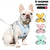 Dog leash, pet chest strap, anti-breaking and breaking away, Shiba Inu vest-style reflective outdoor dog walking leash
