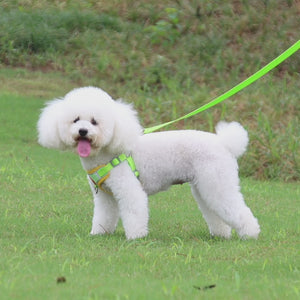 New pet chest strap vest dog strap small dog strap reflective dog traction rope
