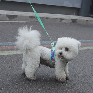 New dog chest strap reflective breathable dog walking rope camouflage three-piece set of dog traction rope